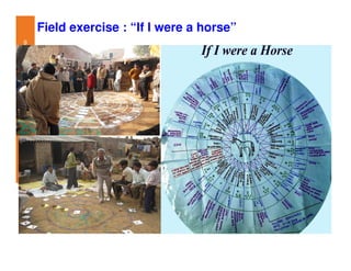 Participatory impact assessment of animal health through collective action