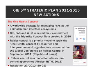 One health approaches for rabies control