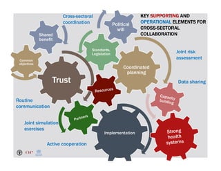 One health approaches for rabies control