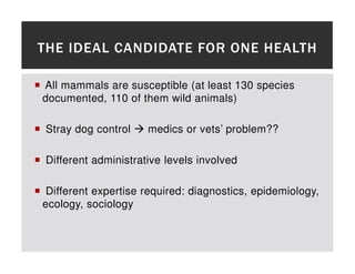 One health approaches for rabies control