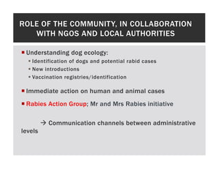 One health approaches for rabies control