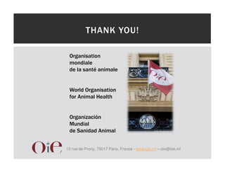 One health approaches for rabies control