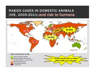 One health approaches for rabies control