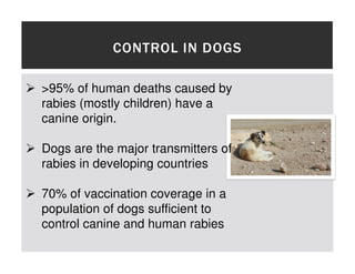One health approaches for rabies control