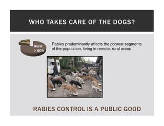 One health approaches for rabies control