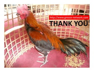 The social dimension of animal health surveillance systems: An interdisciplinary approach of social pressure in the process of disease reporting in Northern Thailand