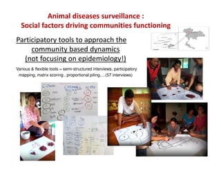 The social dimension of animal health surveillance systems: An interdisciplinary approach of social pressure in the process of disease reporting in Northern Thailand