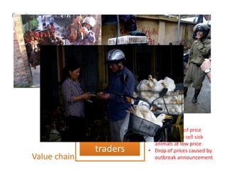 Results
constraints faced by farmers
Animal
producer
Input supply
stage
Animal
traders
Value chain
• Negotiation of price
• Possibility to sell sick
animals at low price
• Drop of prices caused by
outbreak announcement
FINANCIAL
DEBTS
PRICE
INSTABILITY
 