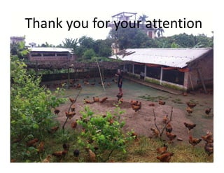 A participatory methodology to assess the factors influencing performances of avian influenza surveillance network in Northern Vietnam