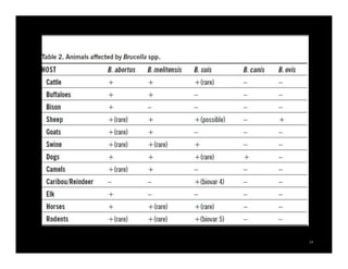 Community’s perception of brucellosis by applying participatory epidemiology in Chiang Mai and Lamphun Province, Thailand