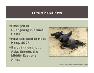 Assessing the accuracy of a clinical outbreak definition for Highly Pathogenic Avian Influenza (HPAI)