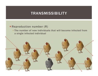 Using a participatory approach to characterize HPAI outbreaks in Indonesian village poultry