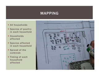 Using a participatory approach to characterize HPAI outbreaks in Indonesian village poultry