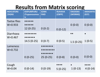 Participatory disease searching using participatory epidemiology techniques in agropastoral and pastoral areas of Mbarara District, Uganda