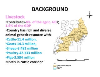 Participatory disease searching using participatory epidemiology techniques in agropastoral and pastoral areas of Mbarara District, Uganda