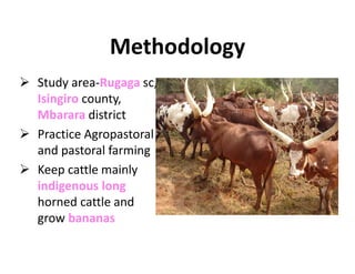 Participatory disease searching using participatory epidemiology techniques in agropastoral and pastoral areas of Mbarara District, Uganda