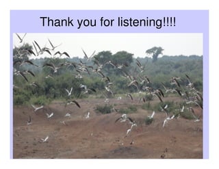 Results of participatory active surveillance for Highly Pathogenic Avian Influenza in Uganda