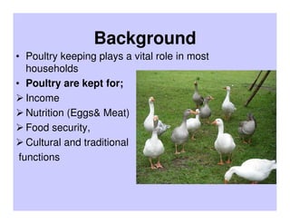 Results of participatory active surveillance for Highly Pathogenic Avian Influenza in Uganda