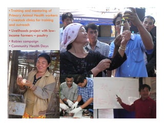 Using narrative approaches to assess animal and community health interventions in Laos: Most significant change