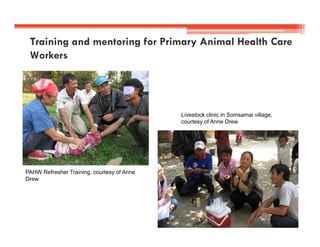 Using narrative approaches to assess animal and community health interventions in Laos: Most significant change