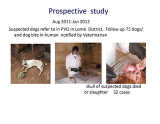 Classical and participatory epidemiology of canine rabies in Lomé commune, Togo in 2012