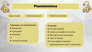 Plantelmintos
Classe: Cestoda Tratamento e prevençãoTênia(Taenia Solium)
Tratamento com medicamentos:
 Niclosamida;
 Praziquantel;
 Albendazol.
ou
 Cirurgia de remoção.
Prevenção:
 Educação sanitária.
 Verificar a procedência de carnes.
 Não ingerir carne mal passada.
 Tratar os doentes.
 Ter boa higiene e lavar bem
alimentos(evitando assim a cisticercose).
 