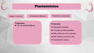 Plantelmintos
Classe: Trematoda Schistossoma Mansoni Tratamento e prevenção
Tratamento:
 Uso de antiparasitários.
Prevenção:
 Educação sanitária.
 Combate ao Biomphalaria.
 Não entrar em rios suspeitos.
 Não defecar próximo a rios.
 Saneamento básico.
 