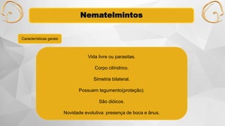 Nematelmintos
Vida livre ou parasitas.
Corpo cilíndrico.
Simetria bilateral.
Possuem tegumento(proteção).
São dióicos.
Novidade evolutiva: presença de boca e ânus.
Características gerais
 