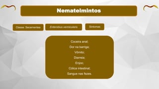 Nematelmintos
Classe: Secernentea Enterobius vermicularis Sintomas
Coceira anal;
Dor na barriga;
Vômito;
Diarreia;
Enjoo;
Cólica intestinal;
Sangue nas fezes.
 