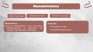 Nematelmintos
Classe: Secernentea Wuchereria bancrofti Tratamento e prevenção
Medicamentos:
 Uso de antiparasitários, como Ivermectina,
Dietilcarbamazina ou Albendazol, por
exemplo, orientado pelo infectologista.
Prevenção:
 Combater o Culex;
 Tratamento dos doentes.
 