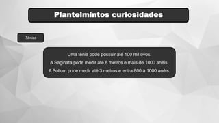 Plantelmintos curiosidades
Tênias
Uma tênia pode possuir até 100 mil ovos.
A Saginata pode medir até 8 metros e mais de 1000 anéis.
A Solium pode medir até 3 metros e entra 800 à 1000 anéis.
 