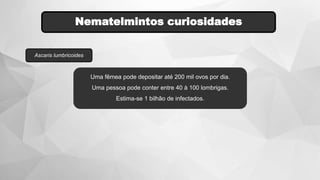 Nematelmintos curiosidades
Ascaris lumbricoides
Uma fêmea pode depositar até 200 mil ovos por dia.
Uma pessoa pode conter entre 40 à 100 lombrigas.
Estima-se 1 bilhão de infectados.
 
