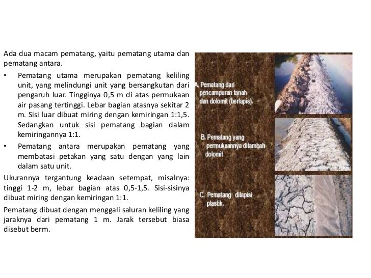 Penataan kawasan tambak udang dalam upaya revitalisasinya