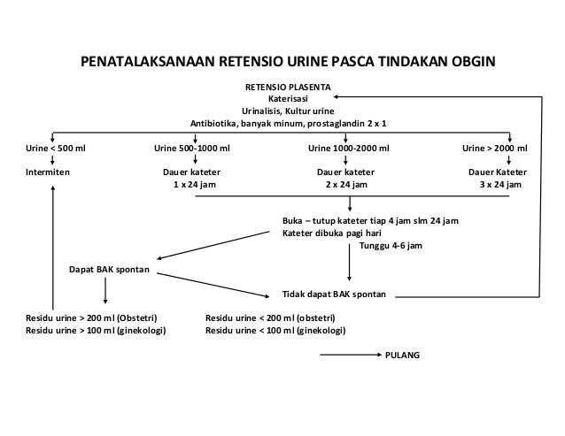 Keputihan Saat Hamil Bidanku Com
