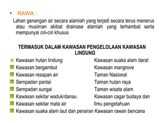 RAWA : Lahan genangan air secara alamiah yang terjadi secara terus menerus atau musiman akibat drainase alamiah yang terhambat serta mempunyai ciri-ciri khusus TERMASUK DALAM KAWASAN PENGELOLAAN KAWASAN LINDUNG Kawasan hutan lindung   Kawasan suaka alam darat Kawasan bergambut   Kawasan mangrove Kawasan resapan air   Taman Nasional   Sempadan pantai   Taman hutan raya Sempadan sungai   Taman wisata alam Kawasan sekitar waduk/danau   Kawasan cagar budaya dan Kawasan sekitar mata air  Ilmu pengetahuan Kawasan suaka alam laut dan perairan Kawasan rawan bencana 