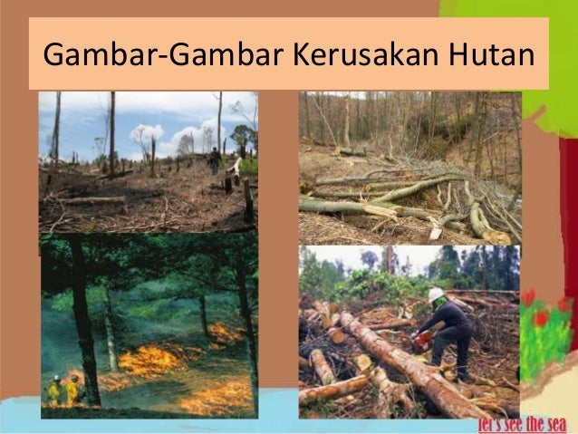 Pencemaran Hutan Dan Gunung Meletus