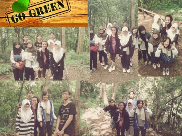 Pencemaran Hutan Dan Gunung Meletus Pencemaran Hutan Dan Gunung Meletus