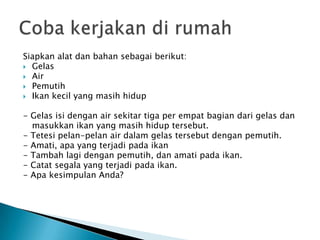 Siapkan alat dan bahan sebagai berikut:
 Gelas
 Air
 Pemutih
 Ikan kecil yang masih hidup
- Gelas isi dengan air sekitar tiga per empat bagian dari gelas dan
masukkan ikan yang masih hidup tersebut.
- Tetesi pelan-pelan air dalam gelas tersebut dengan pemutih.
- Amati, apa yang terjadi pada ikan
- Tambah lagi dengan pemutih, dan amati pada ikan.
- Catat segala yang terjadi pada ikan.
- Apa kesimpulan Anda?
 