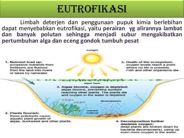 Pencemaran lingkungan