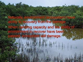 Naturally, eennvviirroonnmmeenntt ((eeccoossyysstteemm)) hhaavvee 
aabbiilliittyy ttoo rreeccoovveerryy ffrroomm tthhee ddaammaaggee 
WWhheenn ccaarrrryyiinngg ccaappaacciittyy aanndd tthhee aabbiilliittyy ooff 
eennvviirroonnmmeenntt ttoo rreeccoovveerr hhaavvee bbeeeenn 
ppaasssseedd,, eeccoossyysstteemm wwiillll ddaammaaggee.. 
 