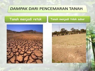 Tanah menjadi retak Tanah menjadi tidak subur 
 