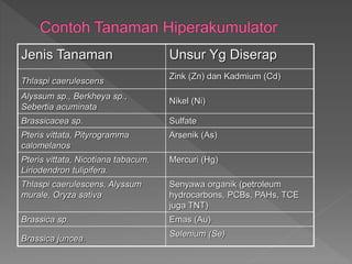 Jenis Tanaman Unsur Yg Diserap
Thlaspi caerulescens
Zink (Zn) dan Kadmium (Cd)
Alyssum sp., Berkheya sp.,
Sebertia acuminata
Nikel (Ni)
Brassicacea sp. Sulfate
Pteris vittata, Pityrogramma
calomelanos
Arsenik (As)
Pteris vittata, Nicotiana tabacum,
Liriodendron tulipifera.
Mercuri (Hg)
Thlaspi caerulescens, Alyssum
murale, Oryza sativa
Senyawa organik (petroleum
hydrocarbons, PCBs, PAHs, TCE
juga TNT)
Brassica sp. Emas (Au)
Brassica juncea.
Selenium (Se)
 