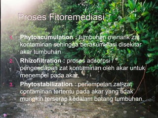1. Phytoacumulation : tumbuhan menarik zat
kontaminan sehingga berakumulasi disekitar
akar tumbuhan
2. Rhizofiltration : proses adsorpsi /
pengendapan zat kontaminan oleh akar untuk
menempel pada akar.
3. Phytostabilization : penempelan zat-zat
contaminan tertentu pada akar yang tidak
mungkin terserap kedalam batang tumbuhan.
 