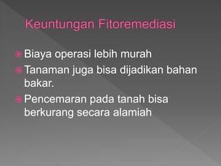 ? Biaya operasi lebih murah
? Tanaman juga bisa dijadikan bahan
bakar.
? Pencemaran pada tanah bisa
berkurang secara alamiah
 