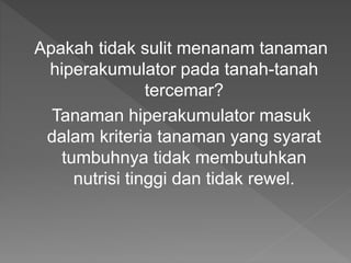 Apakah tidak sulit menanam tanaman
hiperakumulator pada tanah-tanah
tercemar?
Tanaman hiperakumulator masuk
dalam kriteria tanaman yang syarat
tumbuhnya tidak membutuhkan
nutrisi tinggi dan tidak rewel.
 