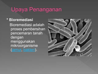 * Bioremediasi
Bioremediasi adalah
proses pembersihan
pencemaran tanah
dengan
menggunakan
mikroorganisme
(jamur, bakteri).
 