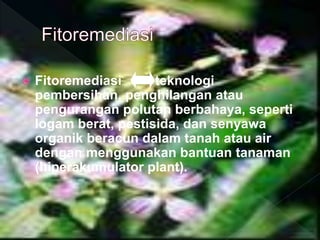 ? Fitoremediasi teknologi
pembersihan, penghilangan atau
pengurangan polutan berbahaya, seperti
logam berat, pestisida, dan senyawa
organik beracun dalam tanah atau air
dengan menggunakan bantuan tanaman
(hiperakumulator plant).
 