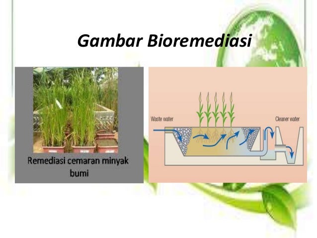 Pencemaran Tanah Fisika Lingkungan