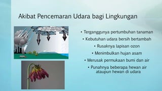 Akibat Pencemaran Udara bagi Lingkungan
• Terganggunya pertumbuhan tanaman
• Kebutuhan udara bersih bertambah
• Rusaknya lapisan ozon
• Menimbulkan hujan asam
• Merusak permukaan bumi dan air
• Punahnya beberapa hewan air
ataupun hewan di udara
 