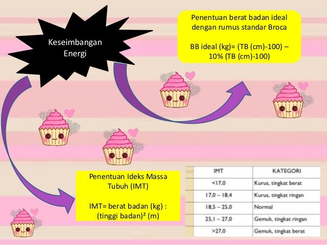 SISTEM PENCERNAAN MANUSIA DAN RUMINANSIA